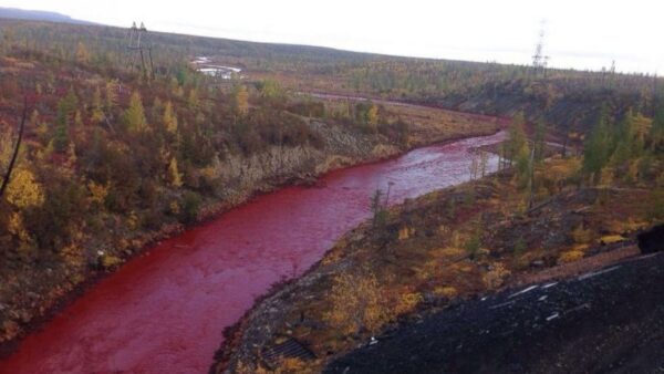 رودخانه روسیه قرمز