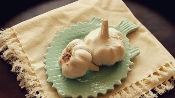 سیر در هفت سین