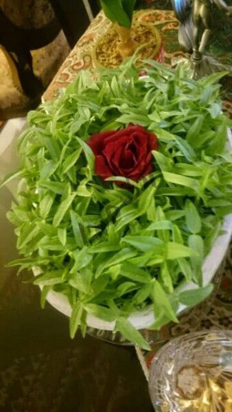 ایده هفت سین