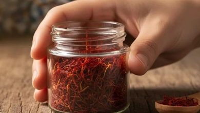 پیش بینی قیمت زعفران در سال 1404: بهترین زمان خرید و فروش طلای سرخ